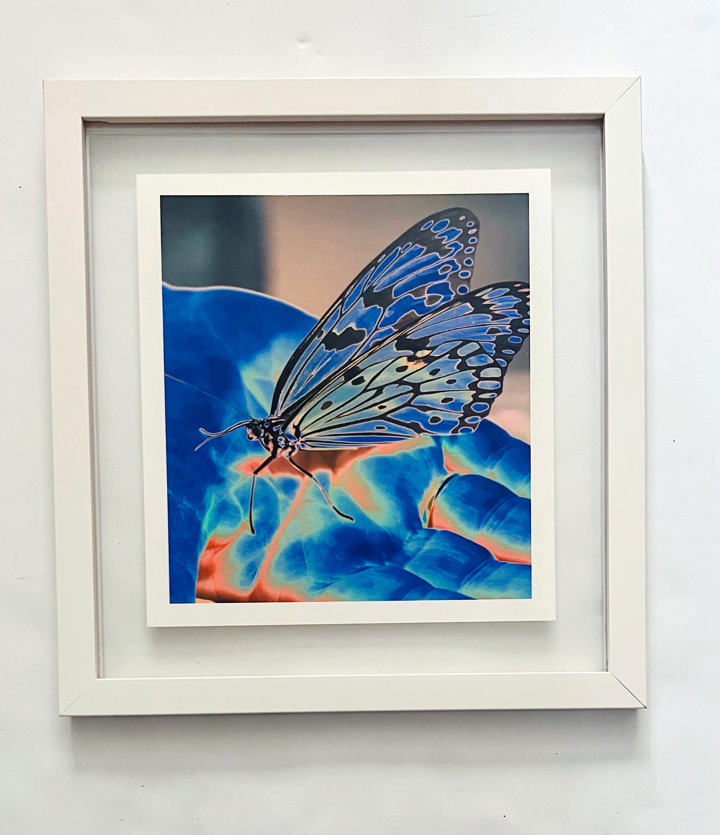 Butterfly Blue, une impression pigmentaire contemporaine sur papier japonais 