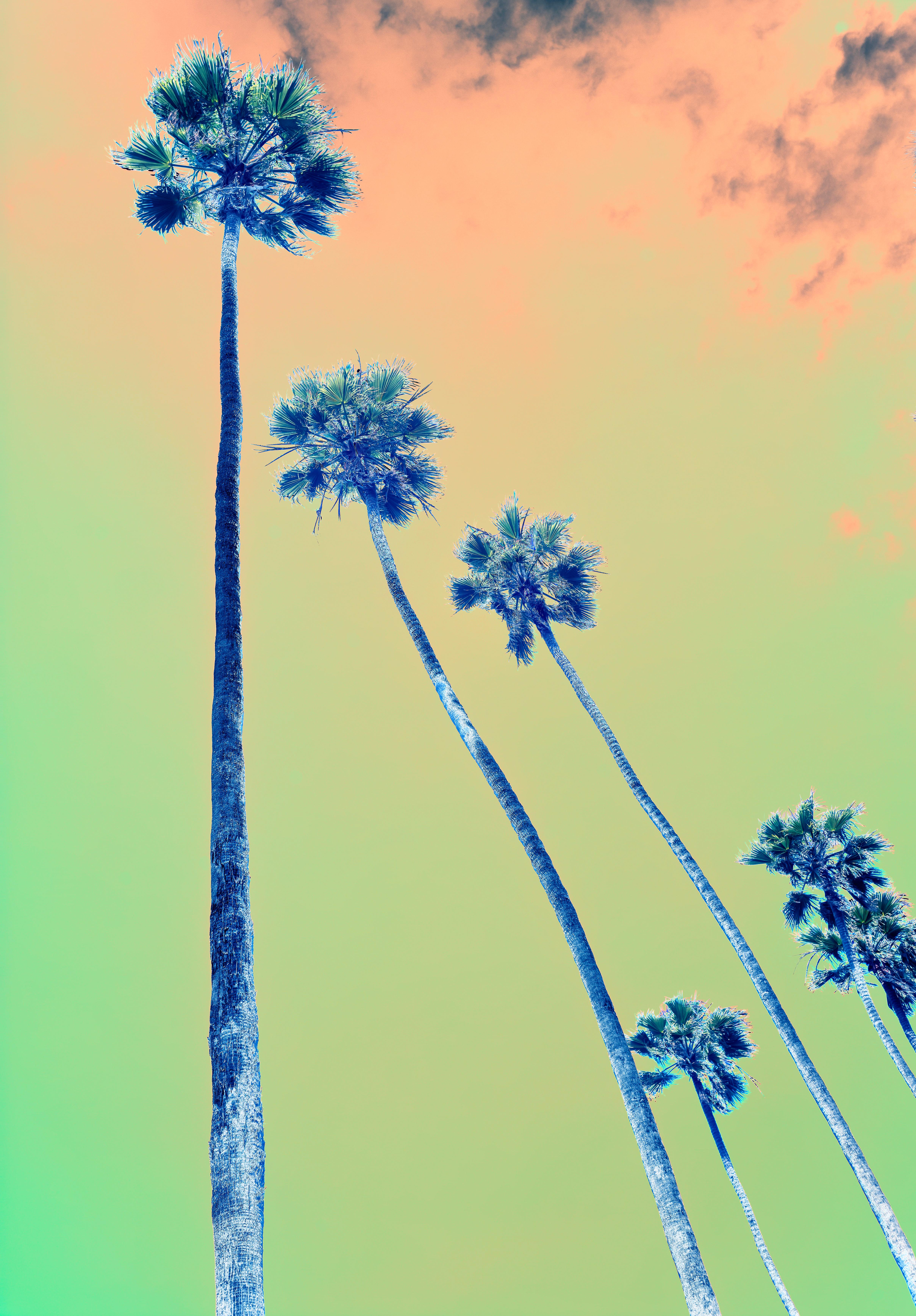 After a Storm, Los Angeles Palisades, Contemporary Color Photography For Sale 2