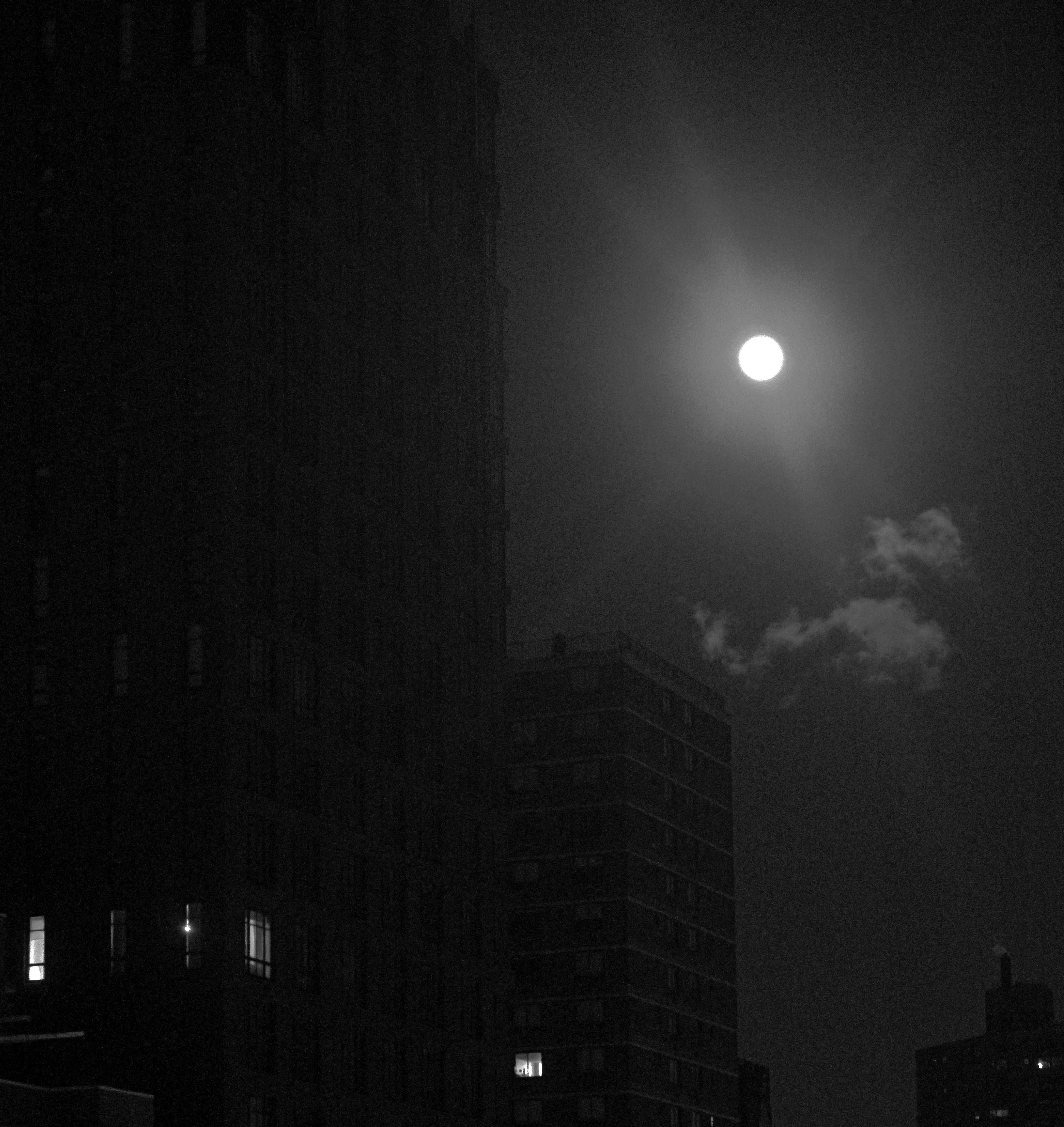 Snow Moon, Nachtfotografie in New York City (Zeitgenössisch), Photograph, von Roberta Fineberg