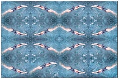 Double Helix, Swimmer, Contemporary Photography