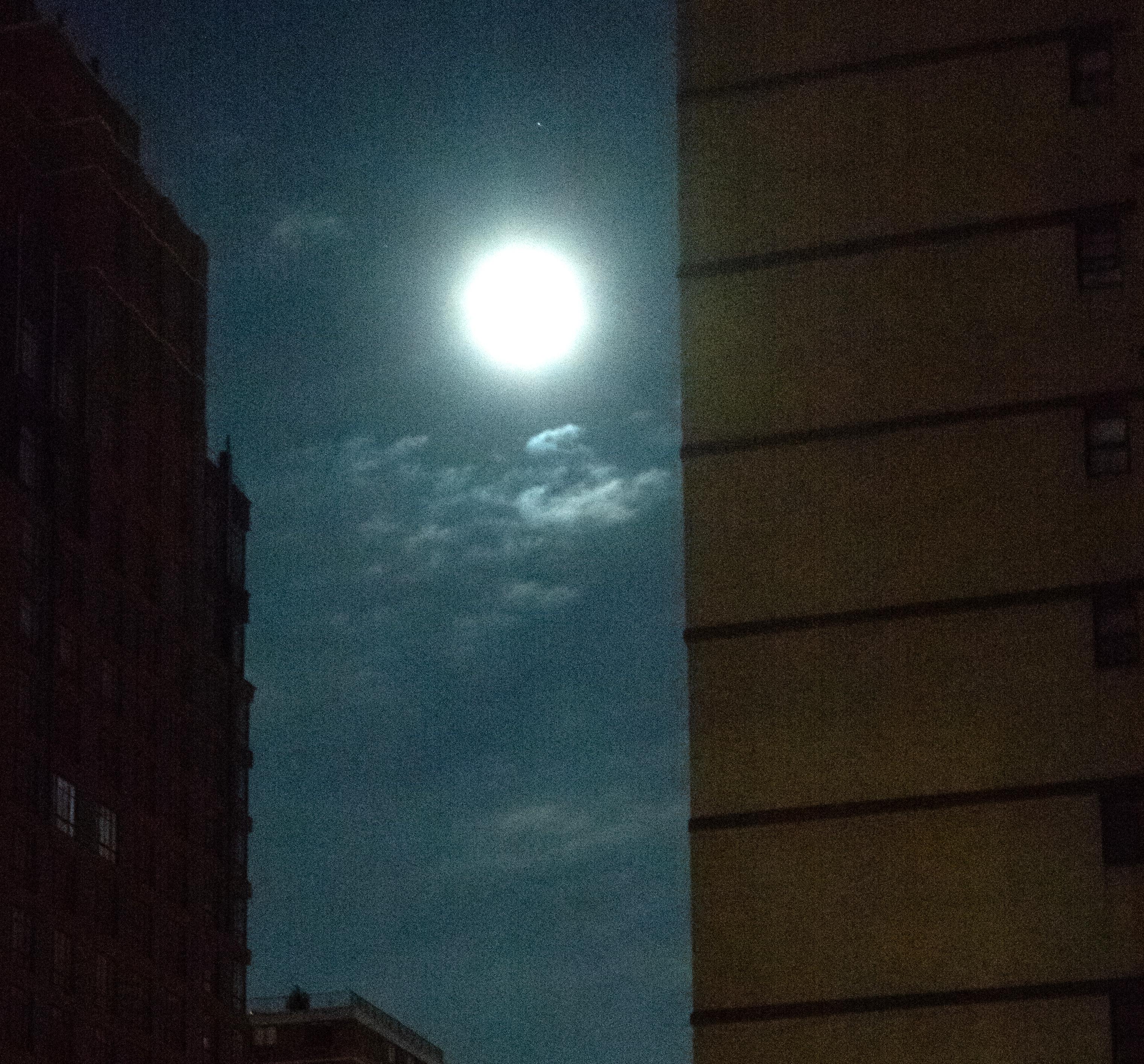 Wolf Moon, Farbfotografie einer Nacht des Vollmondes, New York City (Zeitgenössisch), Photograph, von Roberta Fineberg
