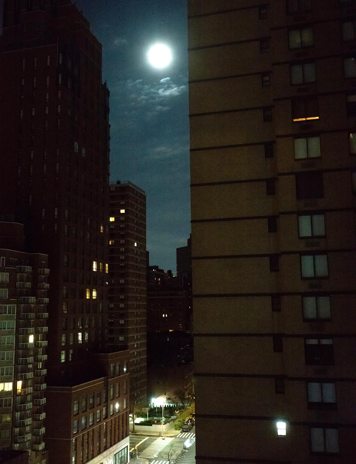 The photograph Wolf Moon by Roberta Fineberg was shot in Manhattan during the night of the full moon in January 2023. The full moon illuminated the dark sky because the sun's light reflected on it. Emotions ran high because of the Wolf Moon, named