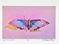 Farfalla rosa, Hottie, Fotografia d'arte e design a colori contemporanea