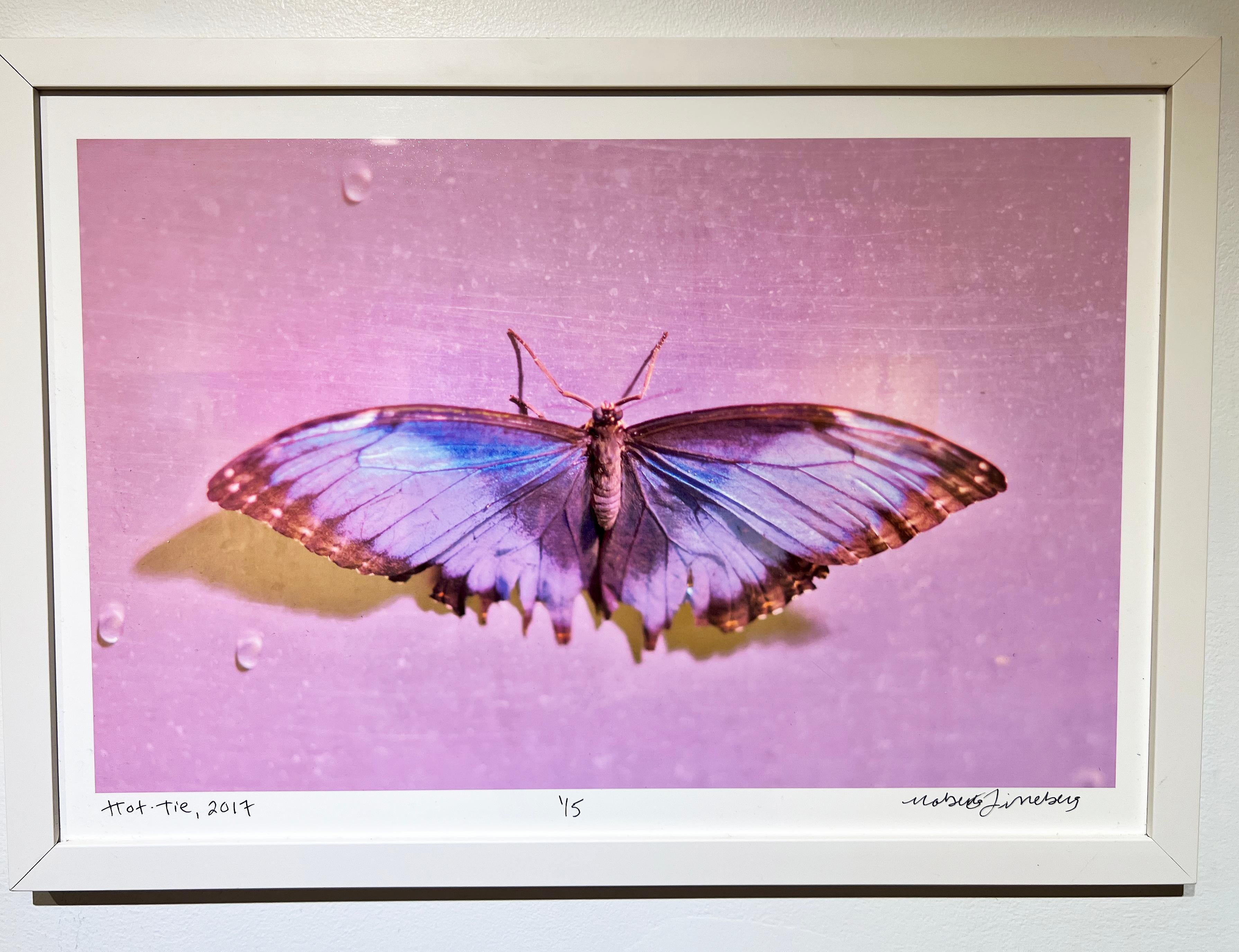 Hot-tie, Butterfly Series, Contemporary Color Photography