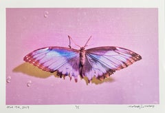 Mariposa Rosa, Hottie, Fotografía Contemporánea de Arte y Diseño en Color