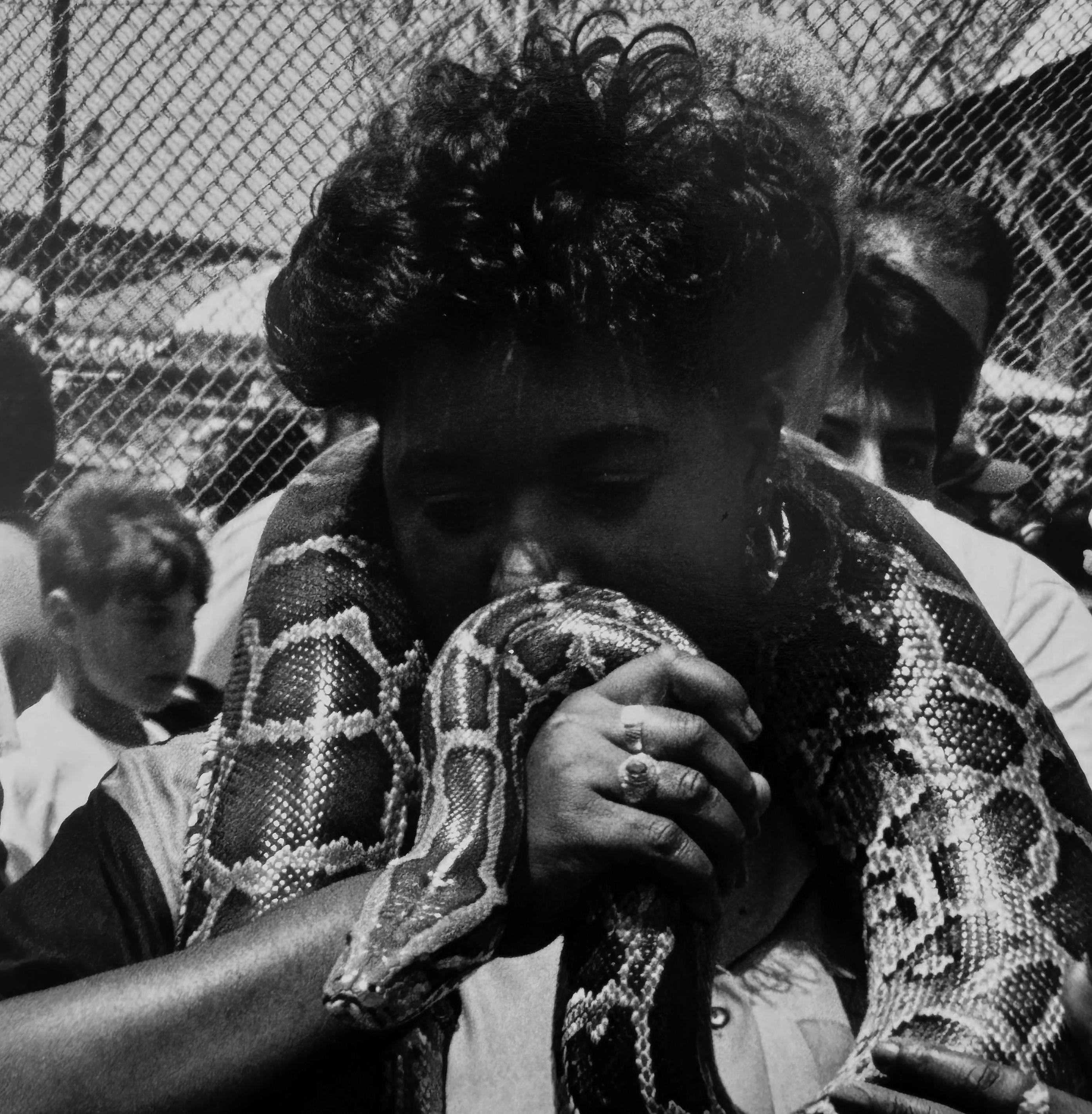 Python, Coney Island, Brooklyn, Jahr der Schlangenfotografie, New York – Photograph von Roberta Fineberg