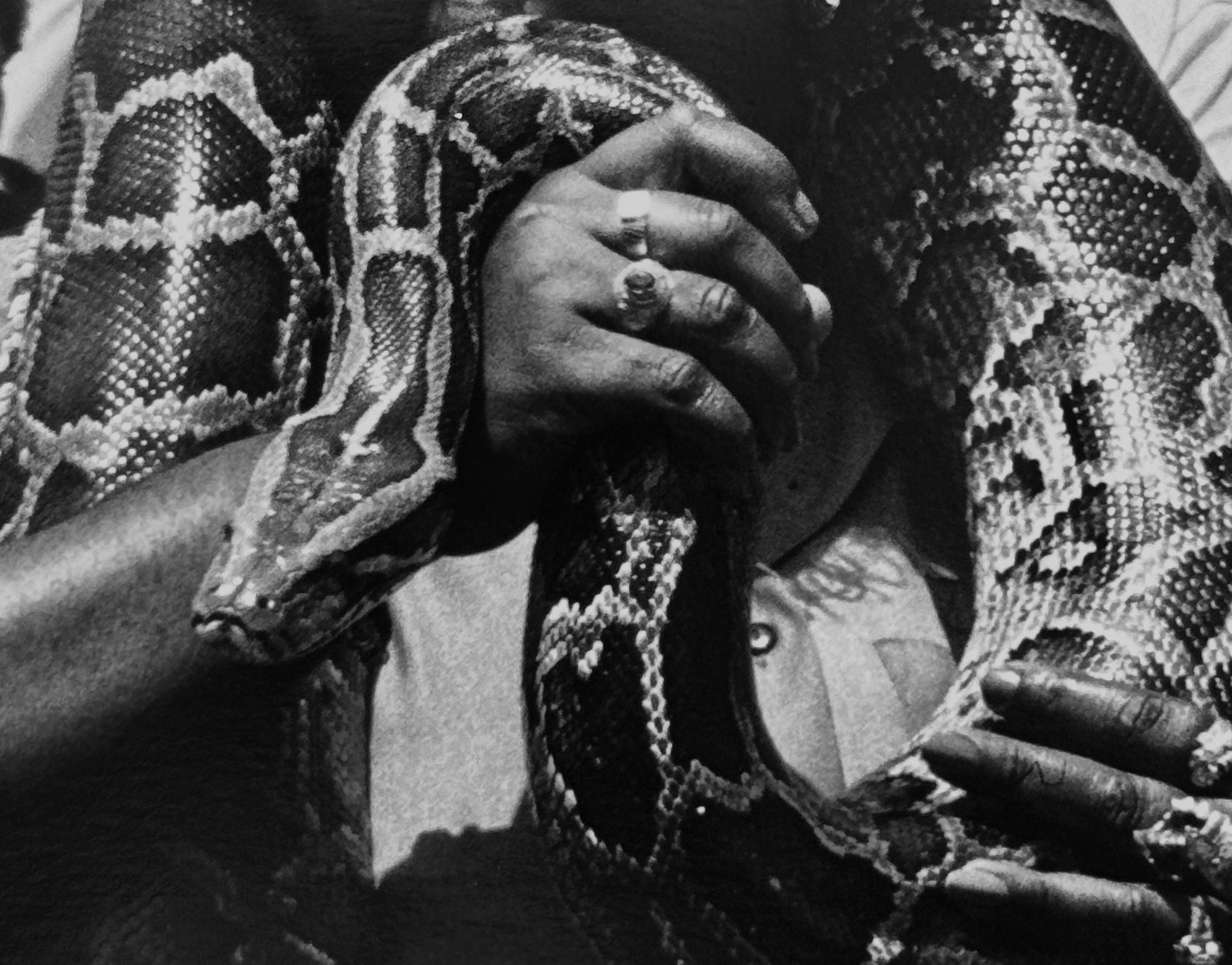 Python, Coney Island, Brooklyn, Jahr der Schlangenfotografie, New York (Zeitgenössisch), Photograph, von Roberta Fineberg