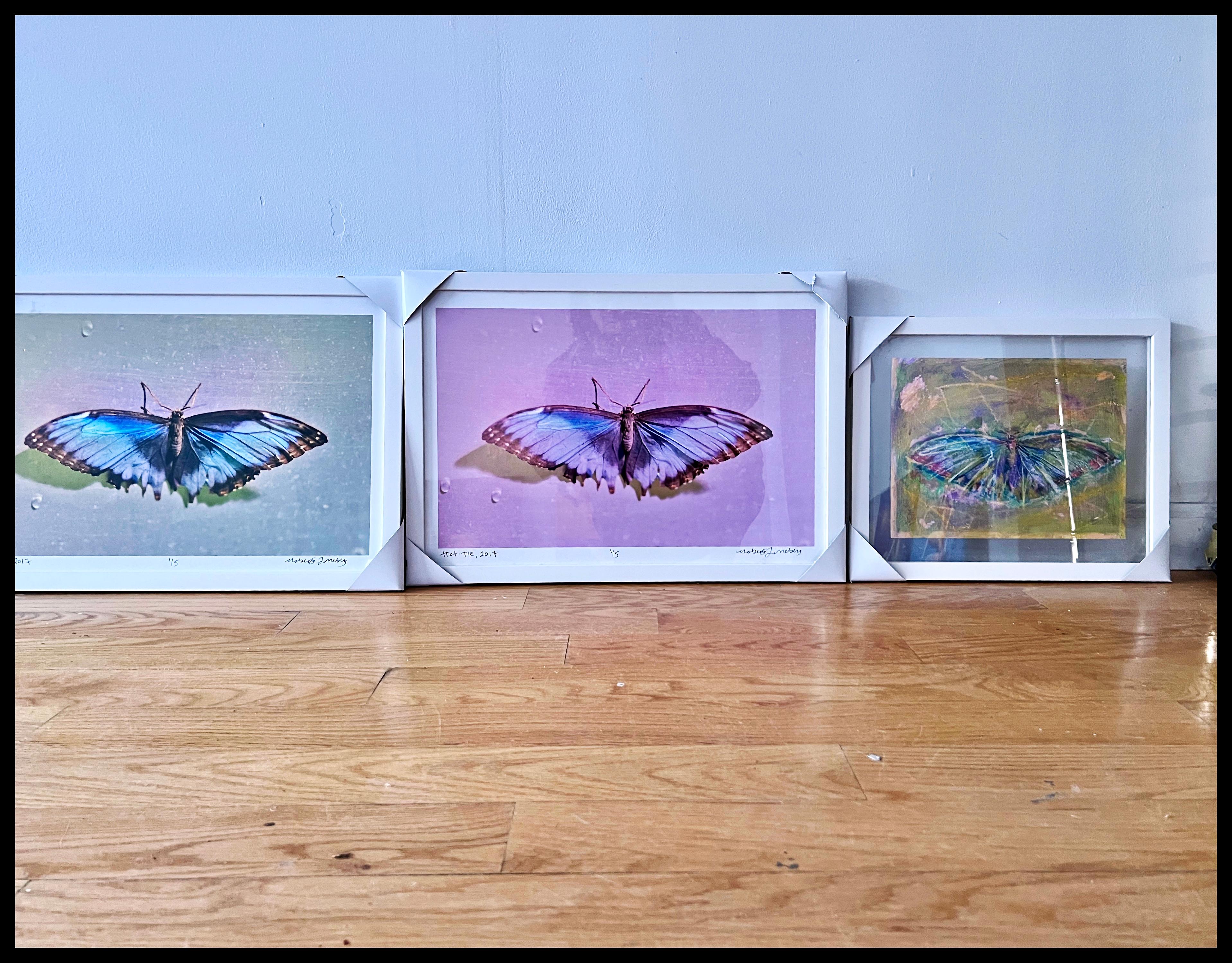 Apprivoisé, Série Papillon, Photographie de nature morte contemporaine par Roberta Fineberg en vente 5