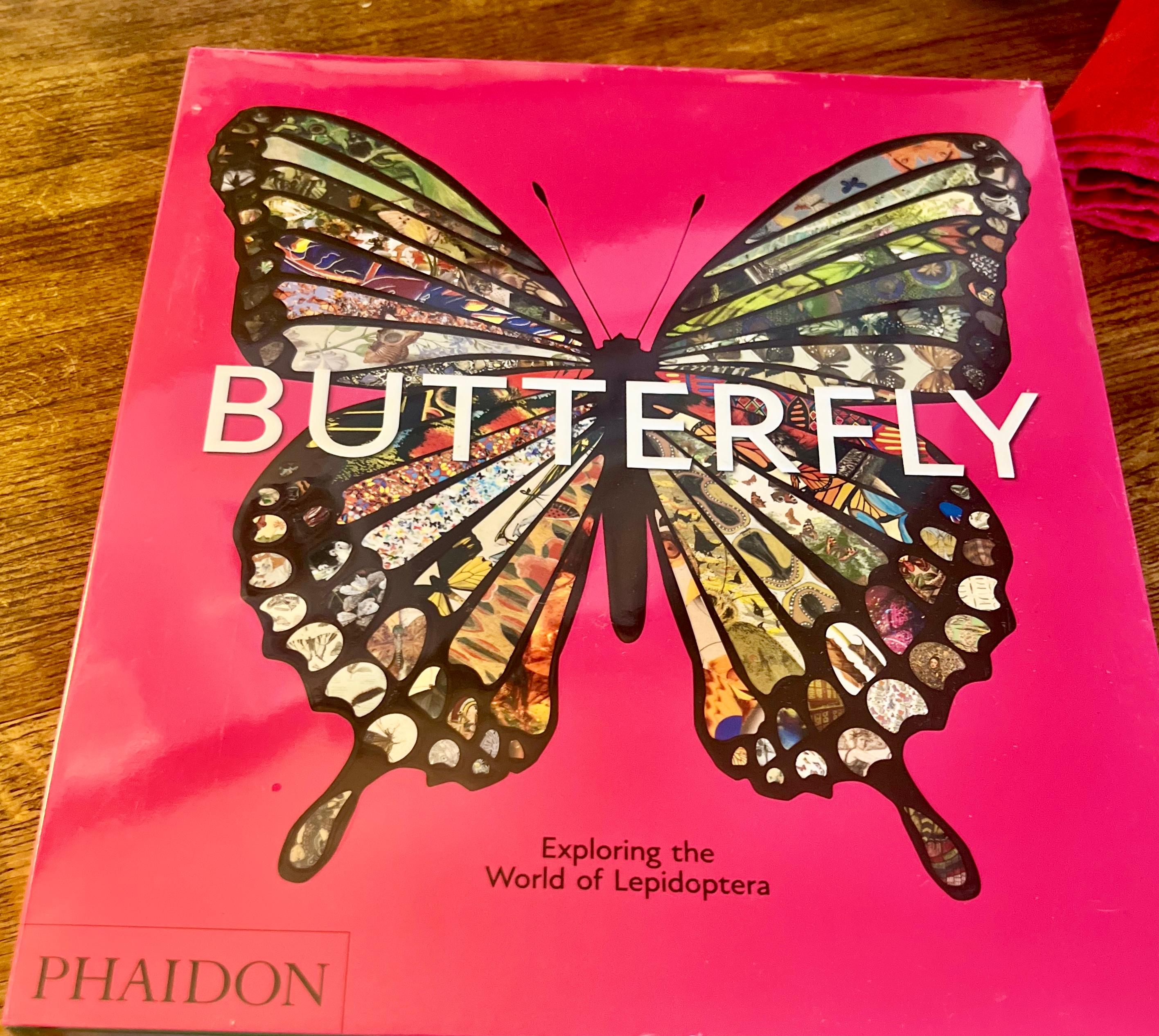 From the transformative to the ephemeral, the birth and death of a butterfly is reimagined in a photo series on butterflies by Roberta Fineberg inspired by a poem by the 13th Century Persian poet Rumi who writes: ‘Whatever you know, or don’t - only