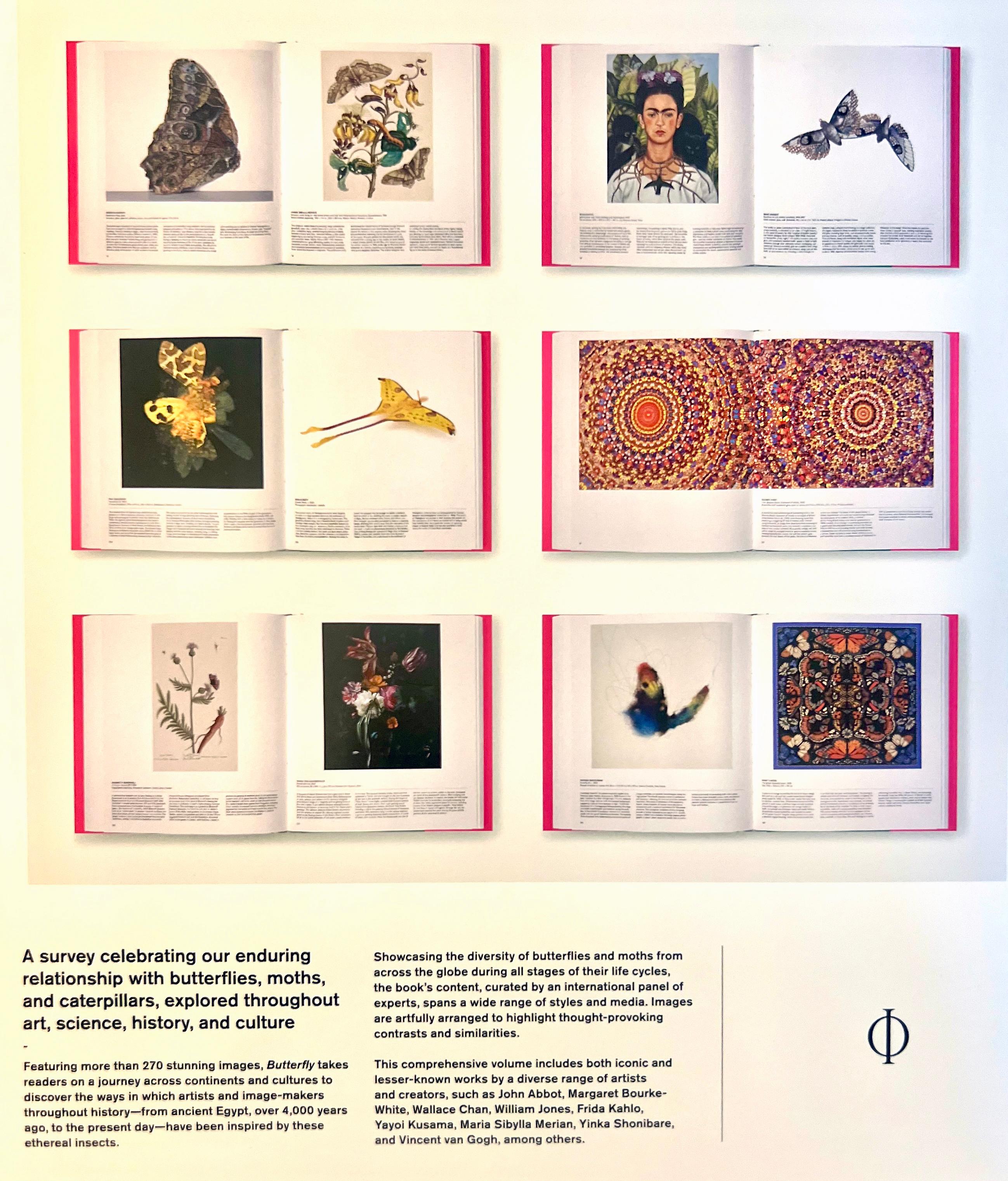Union, Bold Contemporary Color Photography of Butterflies For Sale 3