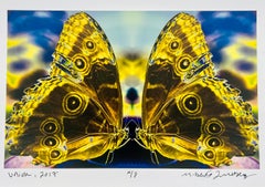 Union, Color Photograph of Butterfly Pair in Butterflies Series