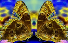 Contemporary Color Photography, Butterflies, Union, 16x20, Signed Ed. 1/5 by RF