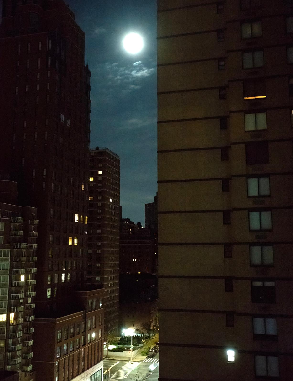 Roberta Fineberg Landscape Photograph – Wolf Moon, Farbfotografie einer Nacht des Vollmondes, New York City