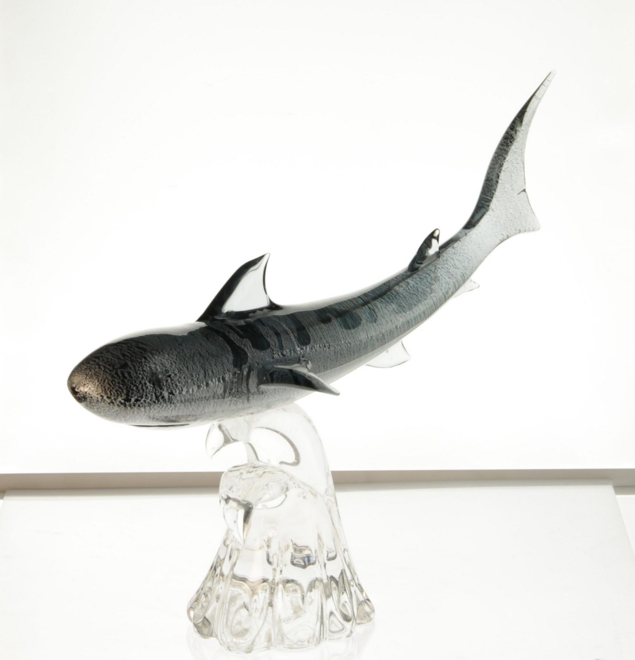 murano shark