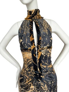 ROBERTO CAVALLI 2005 Vintage Baroque Vintage Hook & Eye Dress