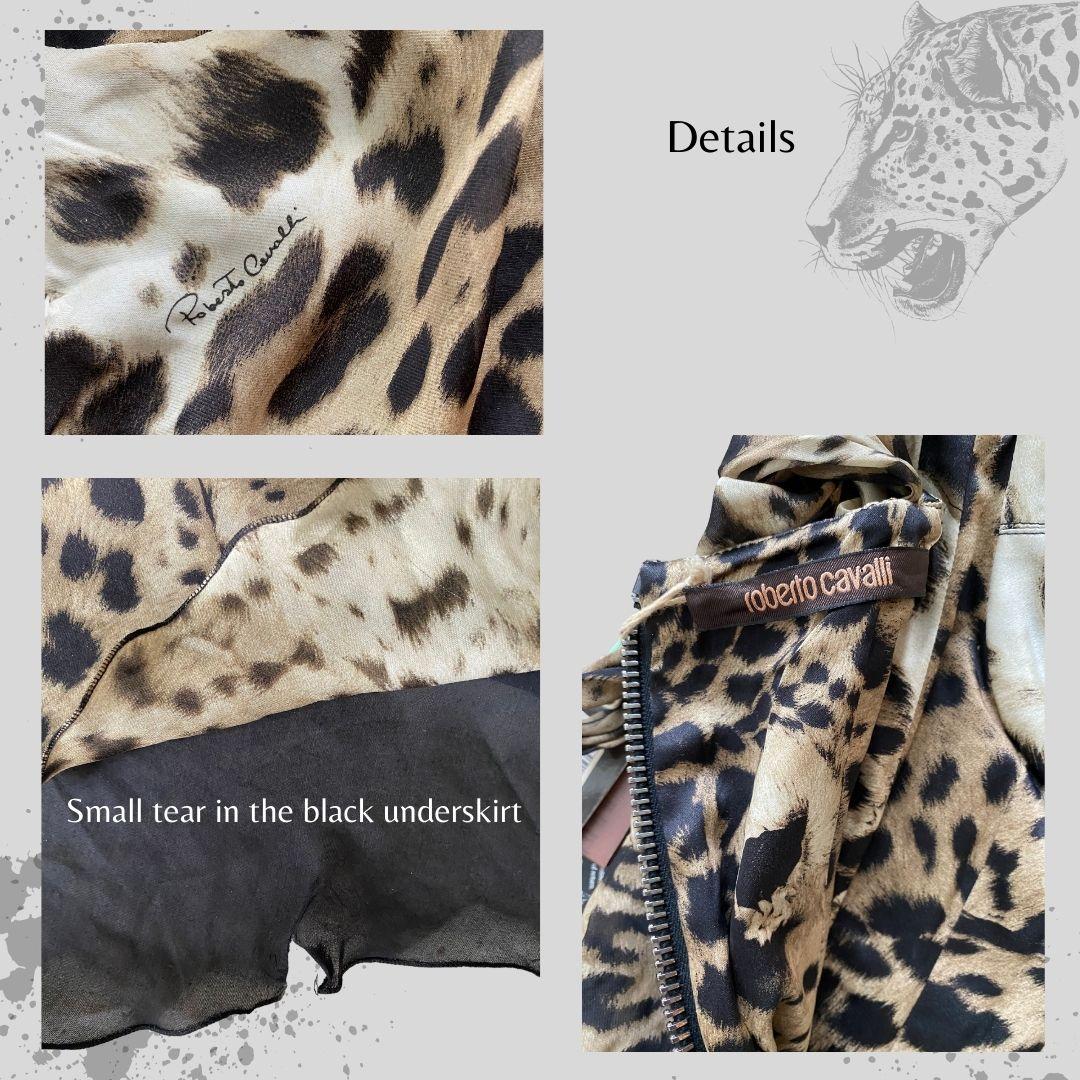 Roberto Cavalli 40th Anniversary Leopard Corset Dress Pre-Fall 2010 Size 40IT For Sale 1