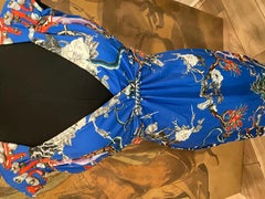 Roberto Cavalli Blue Print Dress