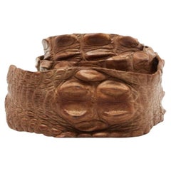 Roberto Cavalli Cintura in vita in coccodrillo marrone retro Horn