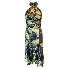 Roberto Cavalli F/W 2006 Floral Print Midi Dress