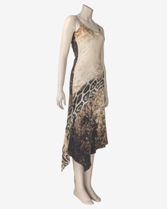 Roberto Cavalli Long Silk Cheetah Dress Fall Winter 2001