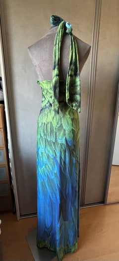 ROBERTO CAVALLI Maxi dress Y2K