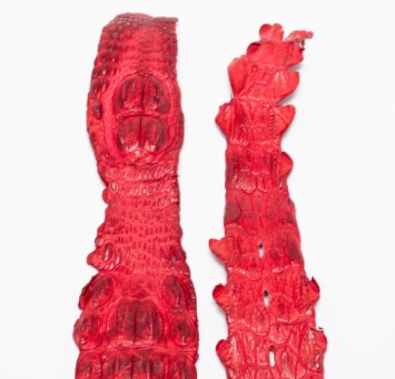 Rosso Roberto Cavalli - Cintura in vita in coccodrillo rosso con retro in corno in vendita