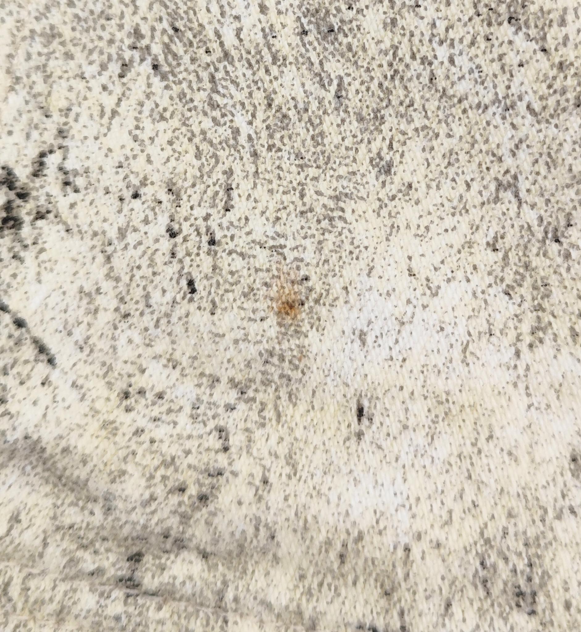 Roberto Cavalli S/S 1999 chaleco vaquero con estampado de cebra en venta 9