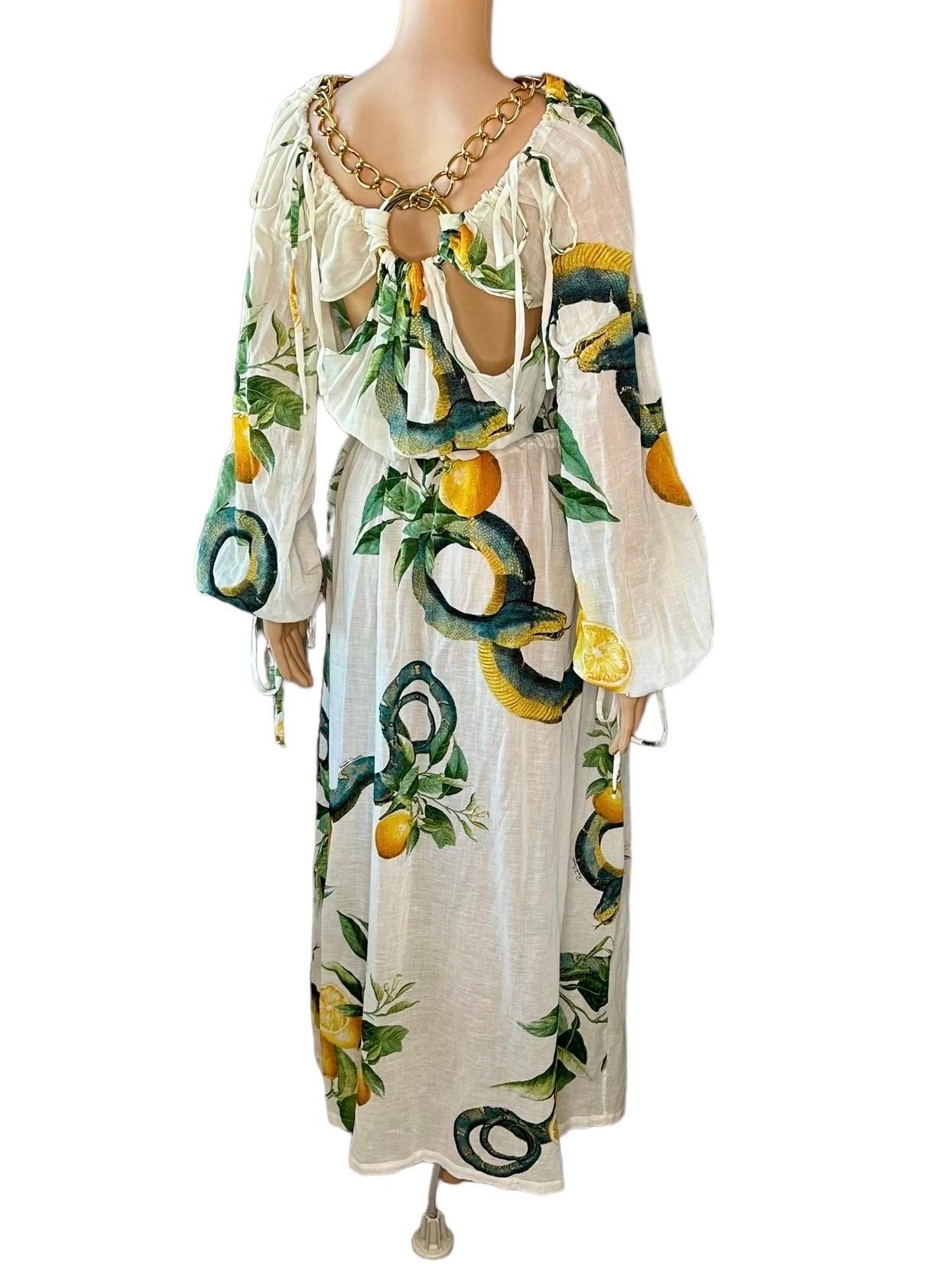 Roberto Cavalli S/S 2005 Runway Chain Cutout Plunging Neckline Maxi Dress For Sale 7