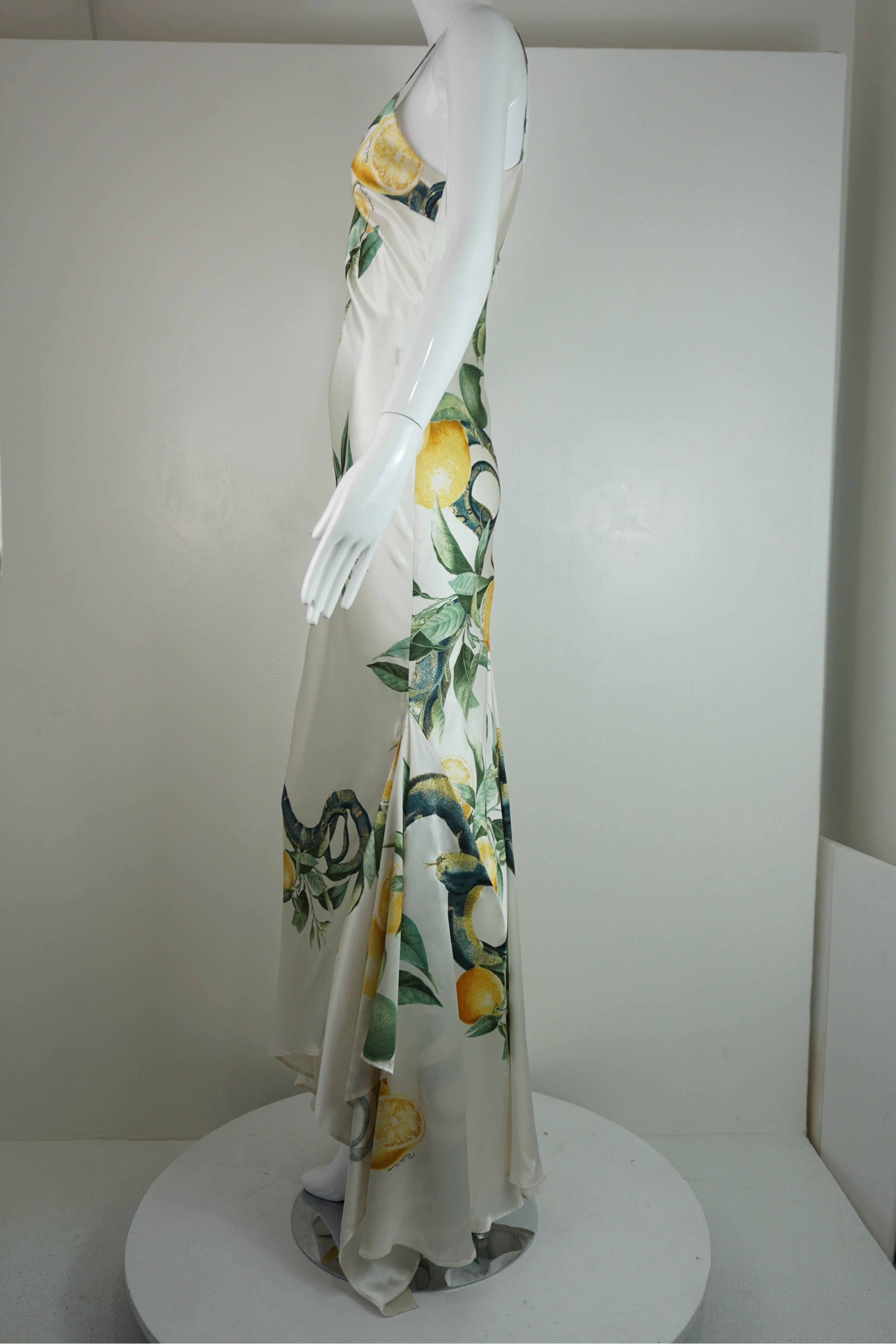 Women's Roberto Cavalli Spring 2005 Slip Dress Gown For Sale