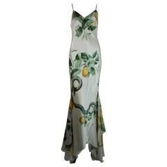 Roberto Cavalli Spring 2005 Slip Dress Gown