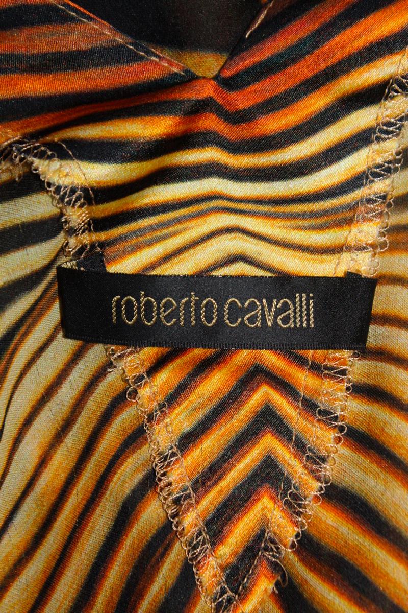 Roberto Cavalli Spring 2007 Dress 5