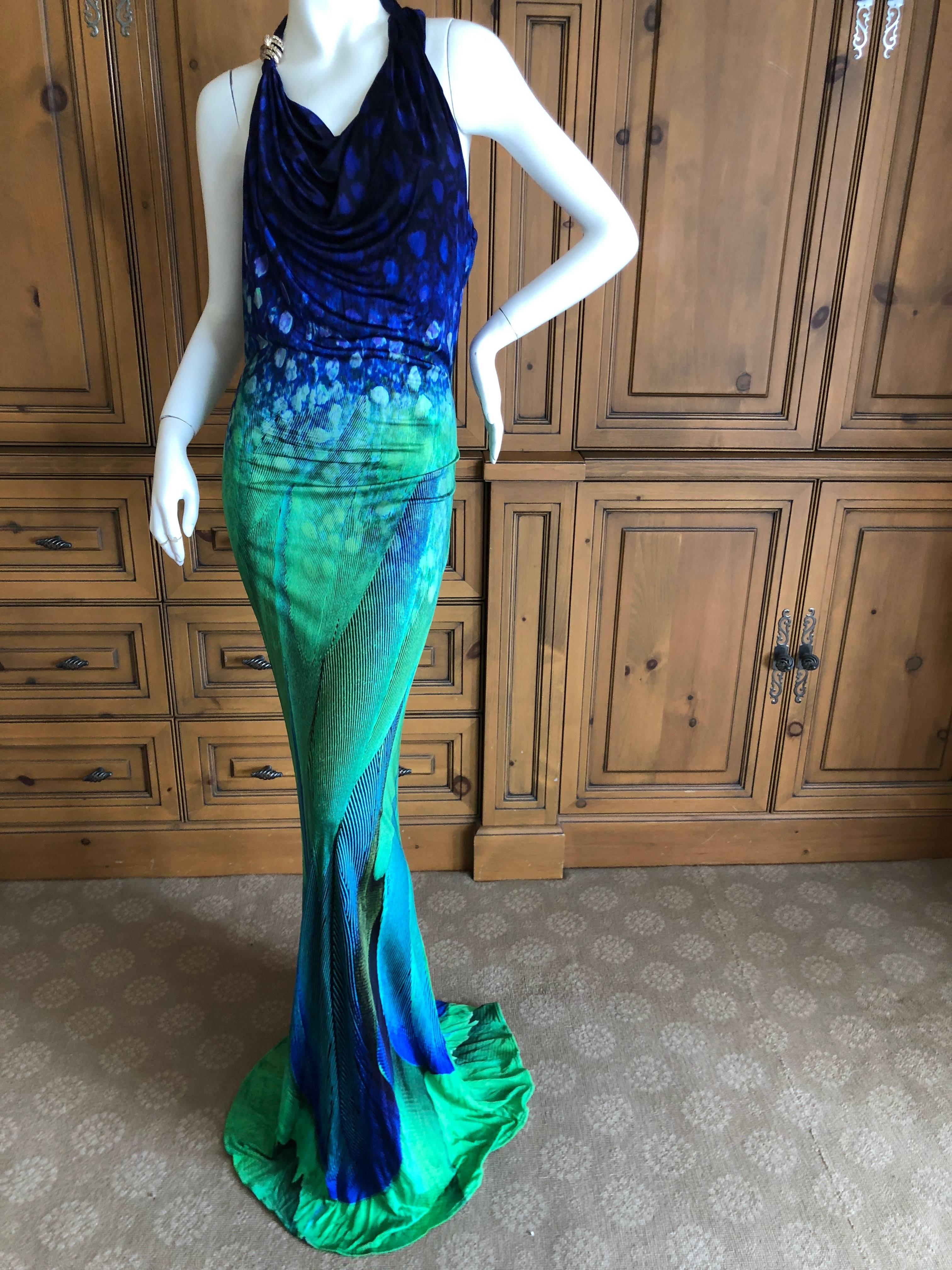 peacock evening dress