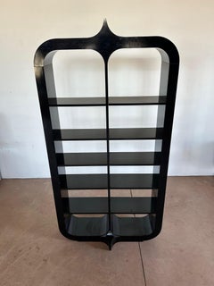 Roberto Fallani Bücherregal für Pierre Cardin, Italien, 1970er Jahre