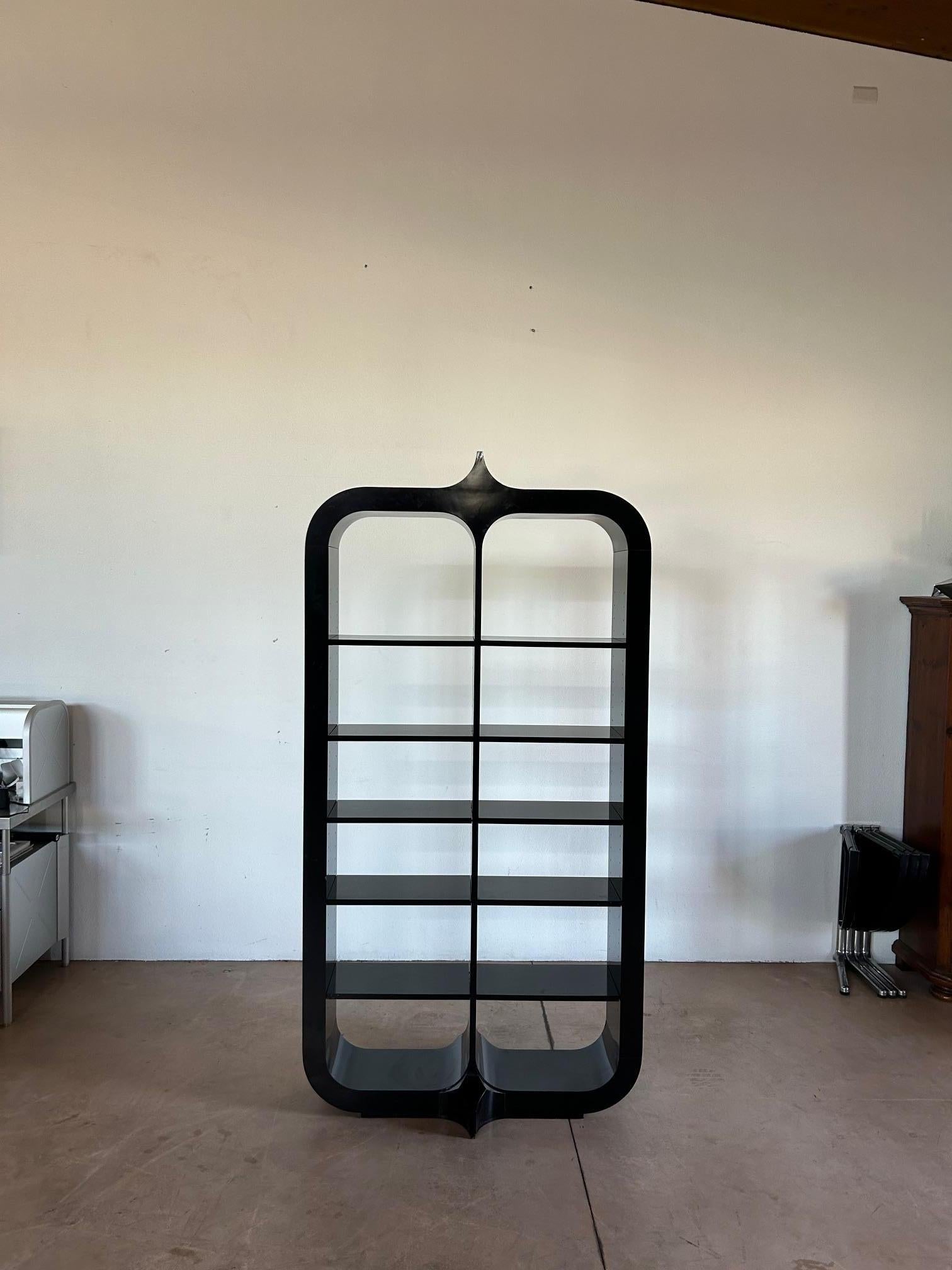 Mid-Century Modern Roberto Fallani Bookshelf for Pierre Cardin, Italy, 1970s For Sale