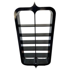 Scaffali moderni di metà secolo