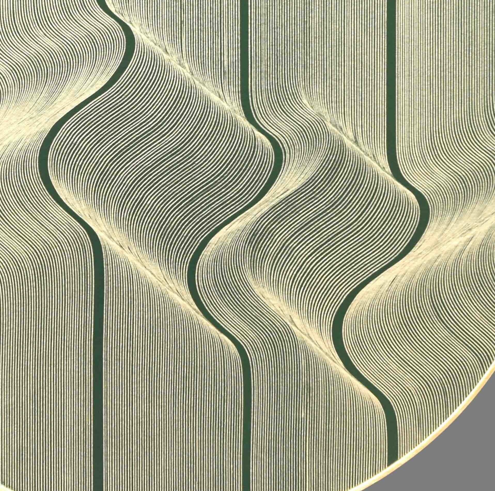 Goldene Oberfläche 2025 - geometrische abstrakte Malerei (Braun), Abstract Painting, von Roberto Lucchetta