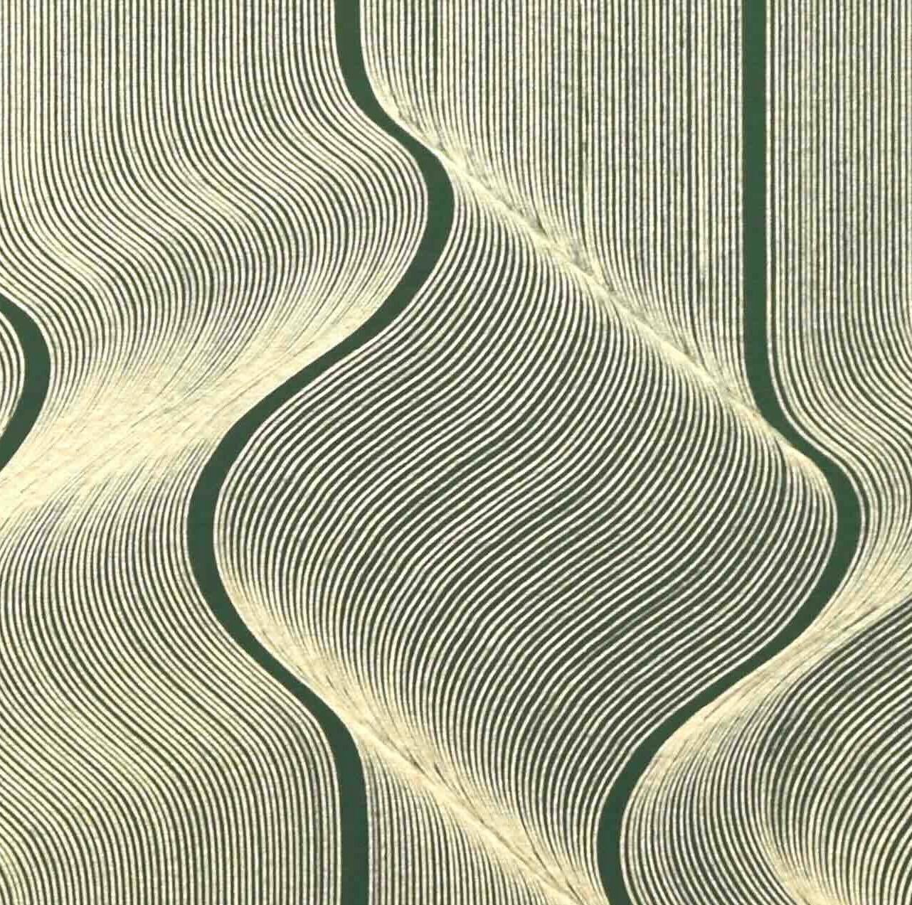 Dieses handgemalte Werk von Lucchetta ist Teil der Op-Art-Serie, in der er mit seiner einzigartigen Technik die Bewegung einfängt. Lucchetta fordert sich selbst heraus. Seine präzise, stabile Hand kann manchmal mit der Arbeit einer Maschine, eines