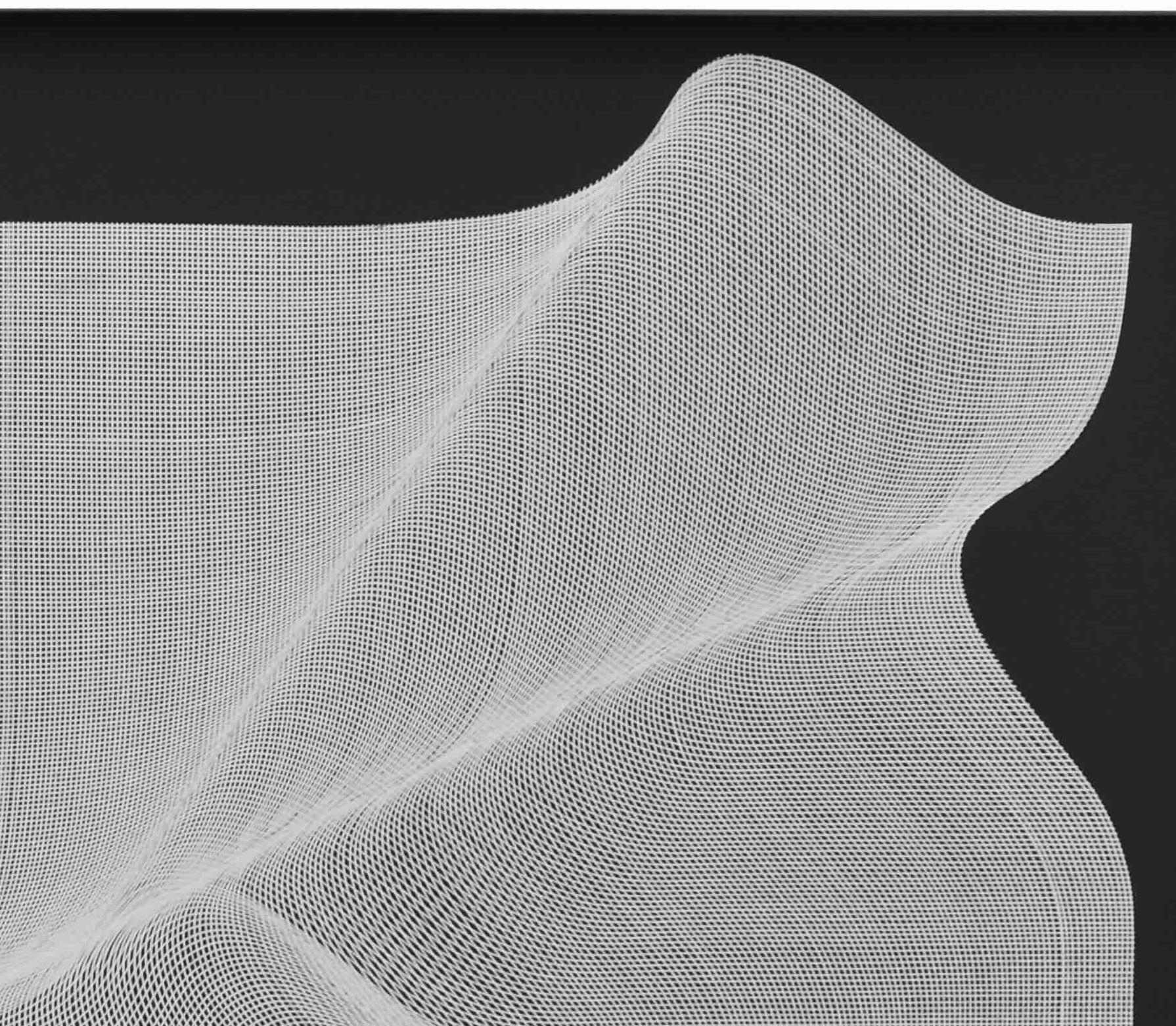 This hand-painted piece by Lucchetta is part of the op art series where he is able to catch movement with his unique technique. Lucchetta is challenging himself. His precise stable hand can be sometimes mistaken for the work of a machine, a printer.