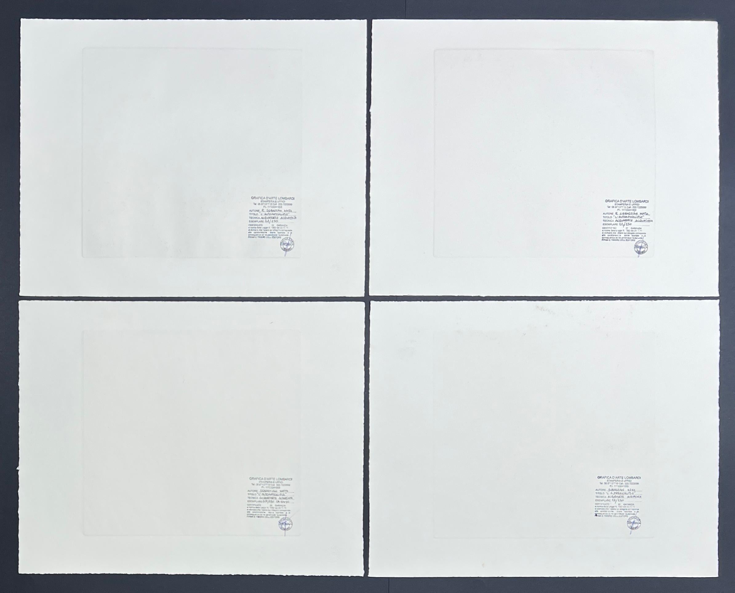 Matta - Autoapocalipse (folder containing four etchings and aquatint on paper) For Sale 6