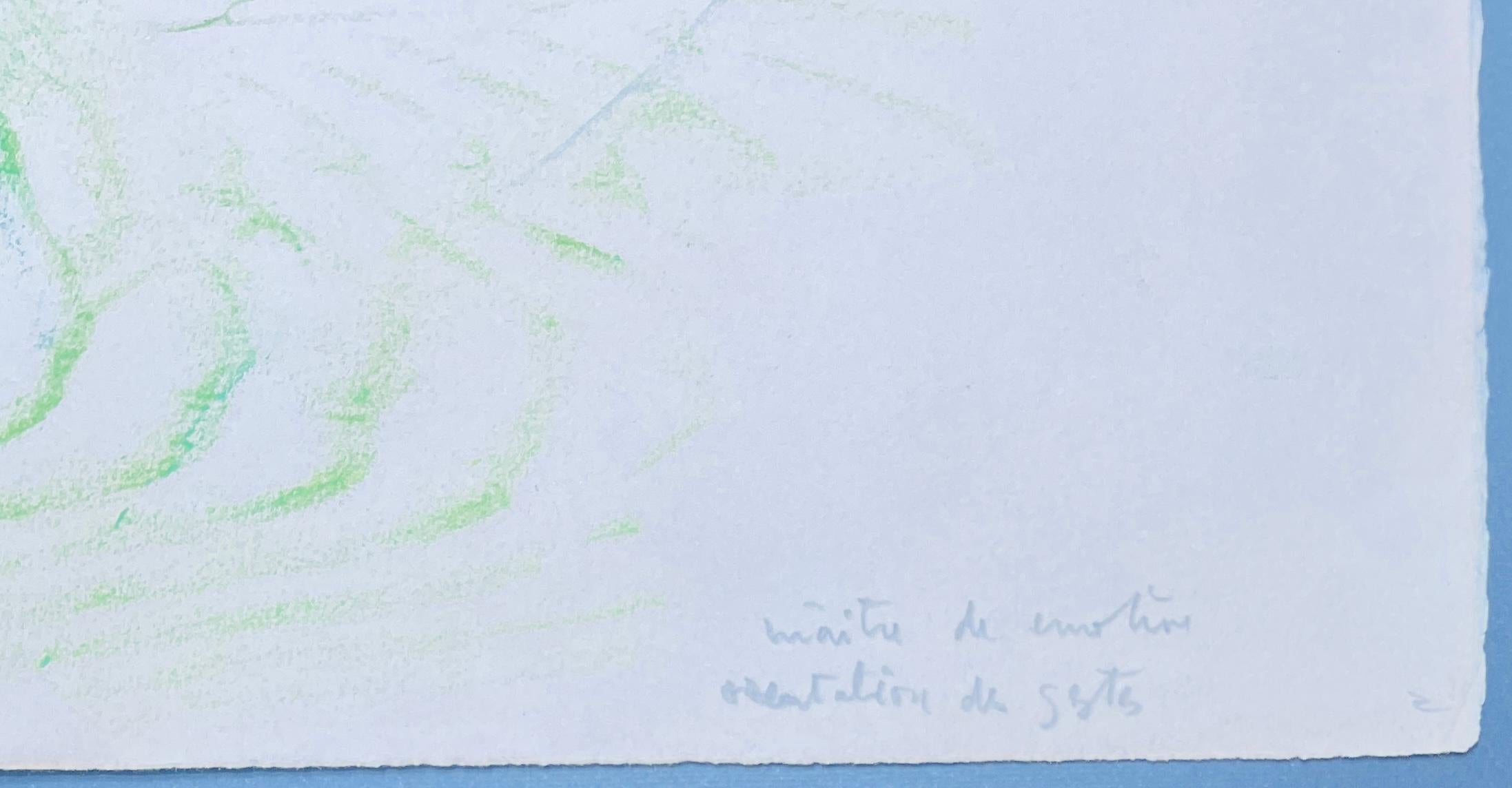 Roberto Matta (1911–2002)- Coloured crayons and graphite on paper - 1965 -unique For Sale 5