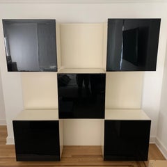 Roberto Monsani "Life" Illuminated Backlit Wall Unit for Acerbis, Italy, 1975