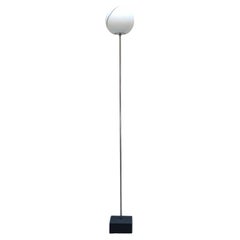 Roberto Pamio pour Leucos Lampadaire 'Tallo 193', Italie 1960s