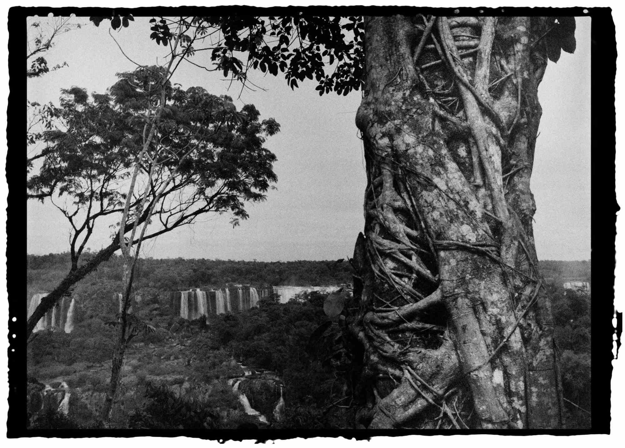 Iguazu 110 – Fotografie von Roberto Vignoli – 2007
