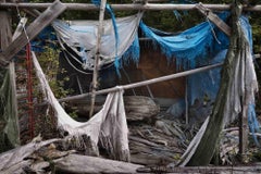 Indian Roots 3 - Photograph By Roberto Vignoli - 2013