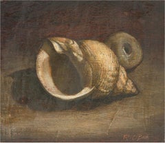 Antique Robin Ball (1910–1979) - Signed Late 20th Century Oil, Sea Shells