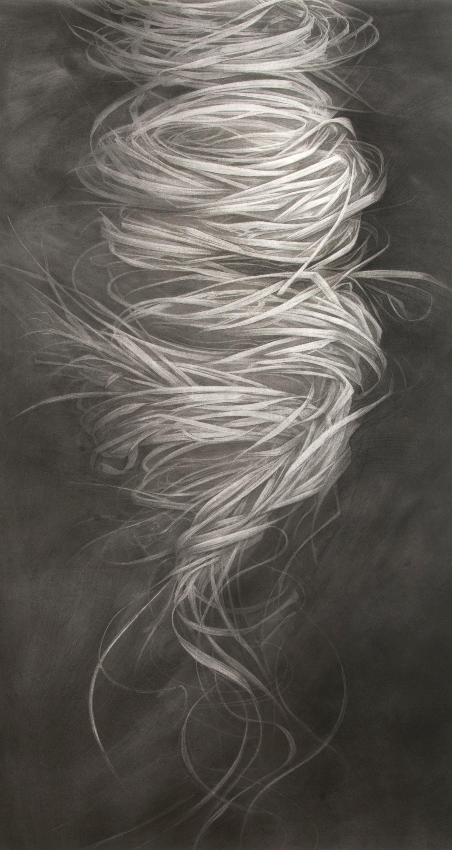 Robin Cole Landscape Painting - "Emergence" Charcoal Painting
