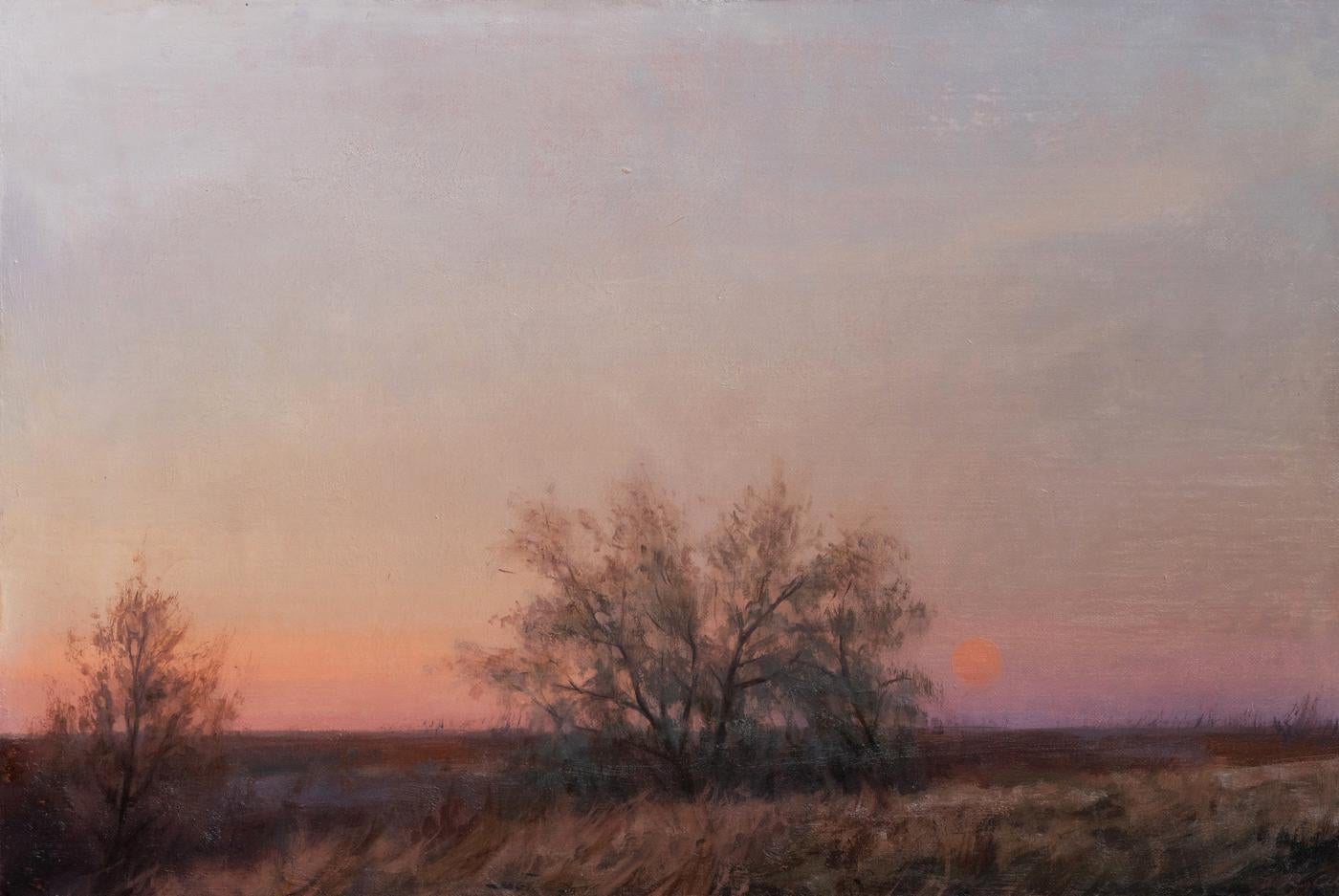 Standley Lake at Dusk" (Lago Standley al anochecer), de Robin Cole, es una convincente obra al óleo sobre tabla de 2024 que representa un paisaje del medio oeste bajo un cielo púrpura parcialmente nublado al anochecer.

El cuadro encarna una escena