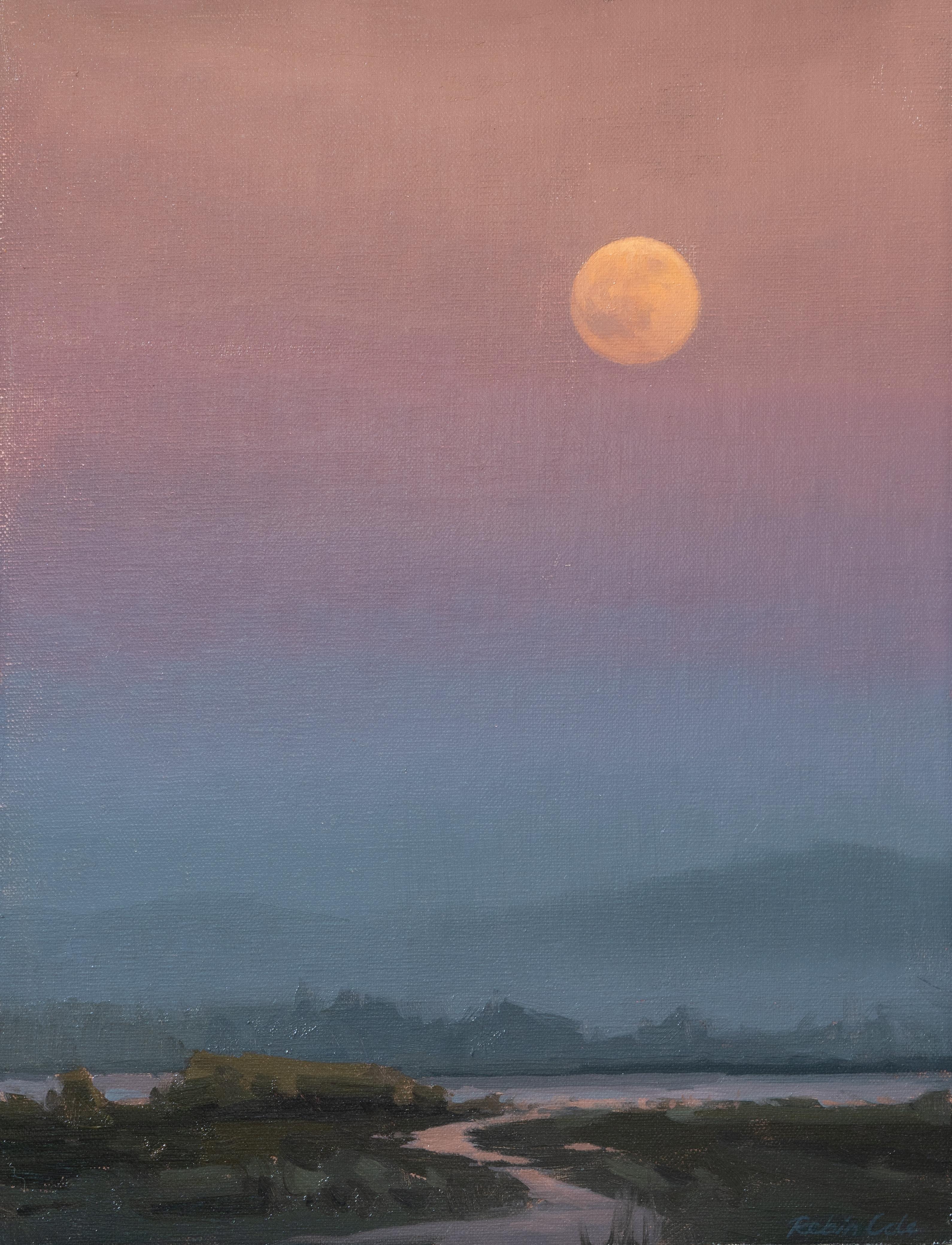 Tal der Dämmerung (Studie II) – Painting von Robin Cole