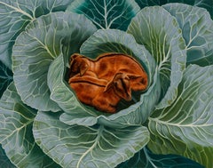 Animal Paintings