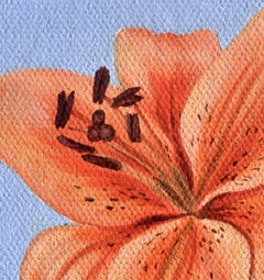 "Orange Lily" Oil Painting by Robin Hextrum